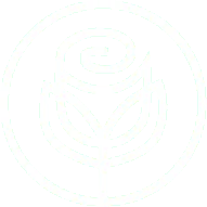 Desert Bloom Healthcare