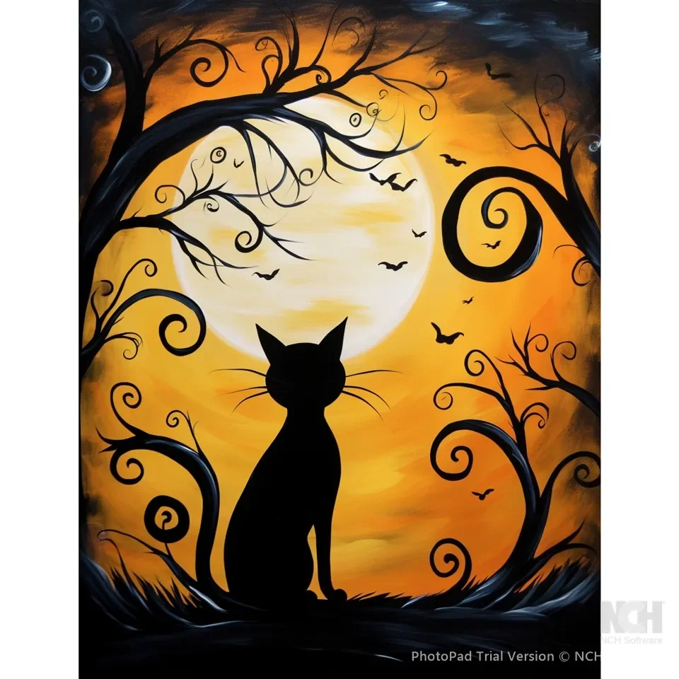 Little Black Cat